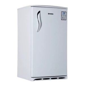 یخچال فیلور 10 فوت مدل PH10D