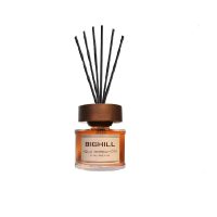 خوشبوکننده هوا ایفل  مدل AQUA BERGAMOTA BIGHILL حجم 120 میلی لیتر